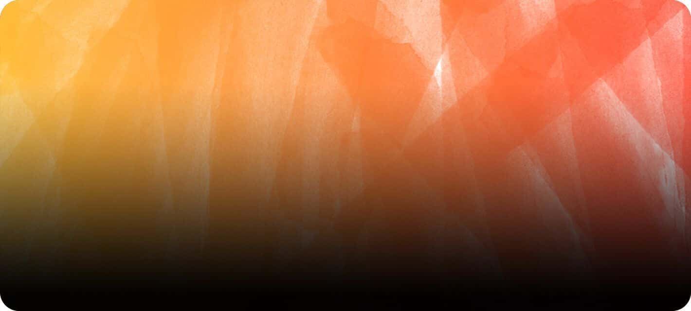 29 Jan 2025